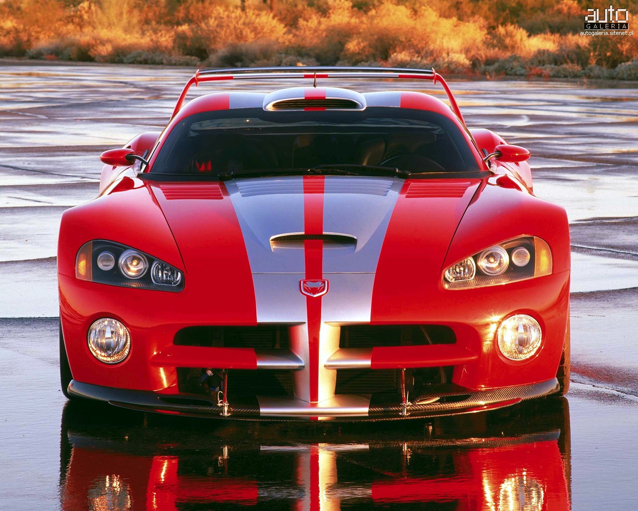 Dodge Viper II: 4 фото