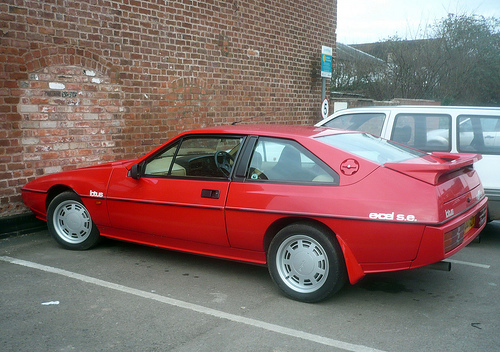 Lotus Excel: 12 фото